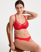 Full Coverage Underwire Mesh Lace Bra